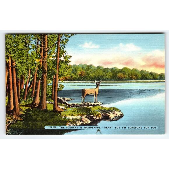 Vintage Linen Deer Lake Scenic Postcard Asheville NC 1930s-40s - Picture 1 of 2